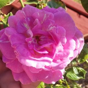 Meet your Posher, Mai